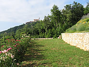 Pogled s travnjaka na stari grad Moąćenice